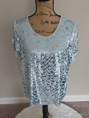 Pleione Pale Blue Sequin Short Sleeve Scoop Neck Top